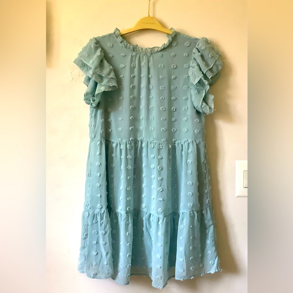 Kelsey Chiffon Mini Swiss Dot Dress - Picture 2 of 4